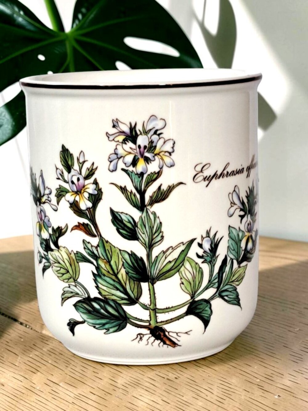 No Handle Mug Botanica by Villeroy & Boch Luxembourg Mint No Damage